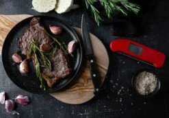 Thermapen One Thermometer, Grau -Deutschland Kochzauber Verkaufs-Shop eti thermapen one thermometer 5