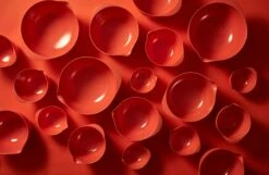 Rosti Margrethe Schüssel Carrot, 2 L -Deutschland Kochzauber Verkaufs-Shop rosti margrethe schussel 1