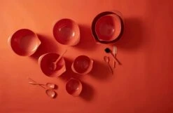 Rosti Margrethe Schüssel Carrot, 2 L -Deutschland Kochzauber Verkaufs-Shop rosti margrethe schussel 2